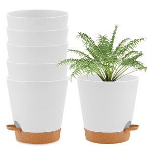 wintfarm Lot de 6 pots de fleurs ronds en plastique avec système d'arrosage à auto-irrigation avec soucoupe, pour intérieur et balcon, plantes grasses, cactus (16,5 cm, blanc) (wintfarm Direct, neuf)
