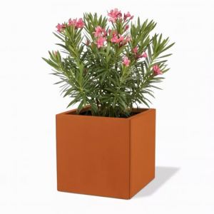 Czaja Corten Steel Fiorella Pot de fleurs 50 x 50 x 50 cm avec plaque de sol - Fabriqu&eacute; en Allemagne - Pot de fleurs carr&eacute; d&eacute;coratif en rouille - R&eacute;sistant aux intemp&eacute;ries et durable - Pour jardin (Czaja Stanzteile, neuf)