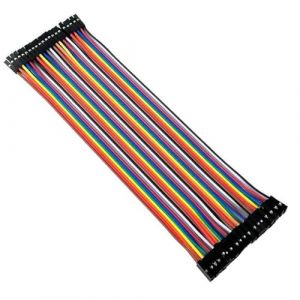 REY Câble compatible Dupont, Câble Jumper Femelle Femelle, Plaque de base, 20 cm (REY ®, neuf)