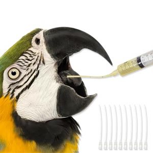 JEYORZY 10 Sondes d'alimentation pour Oisillons, Dont 1 Seringue de 10 ML, B&eacute;b&eacute; Oiseau D' Alimentation Tortue, Seringue pour Alimentation de Tortue, Colombe pour M&eacute;dicaments Liquides (Wacicy EU, neuf)