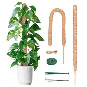 YAUNGEL Tuteur Plante, 2 Pi&egrave;ces 120CM Support Plante Grimpante Tuteur Coco pour Plante Monstera Maison Jardin avec Twist 20 Meter pour Soutenir Les Plantes (Greencao, neuf)