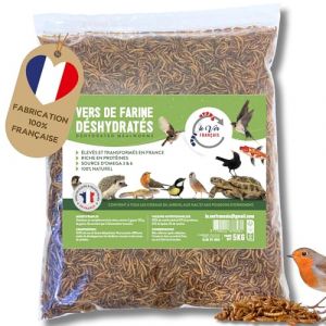 vers de Farine pour Poules, Oiseaux, Hamster, Reptiles - S&eacute;ch&eacute;s et &Eacute;lev&eacute;s en France - Riche en Prot&eacute;ines 55% - Nourriture Compl&eacute;ment Alimentaire Animaux 100% Naturel (5kg) (Le ver fran&ccedil;ais, neuf)