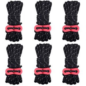 Azarxis Corde de Tente R&eacute;fl&eacute;chissante 4 m Corde Nylon avec Tendeur en Aluminium L&eacute;ger &Phi;4mm Ficelle 6 Pi&egrave;ces pour B&acirc;che Fixation Camping (03 Noir - 6 Pi&egrave;ces - &Phi;4mm) (Azarxis (FR), neuf)