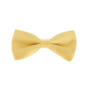 cravateSlim Noeud Papillon Garçon Jaune pale - Noeud Papillon Enfant Garçon d'Honneur Mariage, Baptême - Collection Père et Fils, Papa et Enfant (cravateSlim FR, neuf)