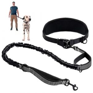 Laisse pour Chiens, Laisse Canicross Chiens, Laisse Chien Main Libre, Laisse Chien Autour De La Taille, Ceinture Réglable Et Laisse Élastique Rétractable, pour Canicross, Course à Pied, Randonnée (Visit the Bing8 Store, neuf)