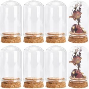 SUNNYCLUE 12 mini Couvercle en Forme de Dôme en Verre de 30x50 mm, Mini Pot en Verre, Affichage en Verre, Cloche en Verre avec Base en Liège, Mini Cloche, Petites Bouteilles en Verre pour Mariage, Mai (SUNNYCLUE  FR, neuf)