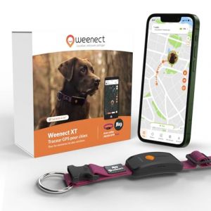 Weenect Chien XT - Nouveau Collier GPS pour Chien | Antenne XL | Etanche | Collier Hyper résistant intégré Julius-K9 | Garantie à Vie | Abonnement requis (Rose) (Weenect, neuf)