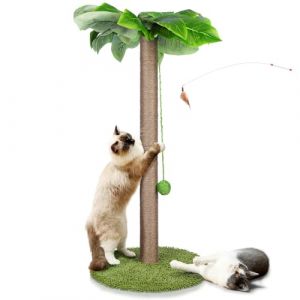 Masthome Griffoir pour Chats, 85 Cm Poteau Chat, Colonne en Sisal Naturel et Base de Couverture en Moquette Douce avec Boule Suspendue, Griffoir pour Chats de Tous âGes - Vert (masthome, neuf)