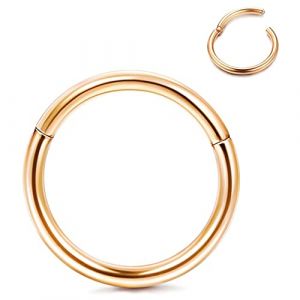 Roheafer Piercing Nez Hypoallerg&eacute;nique Anneaux Nez en Titane G23 Anneaux &agrave; L&egrave;vres 14G 16G 18G 20G Anneaux Segment&eacute;s Articul&eacute;s pour Femmes Hommes Helix Daith Tragus Cartilage Septum Piercing Bijoux (Roheafer, neuf)