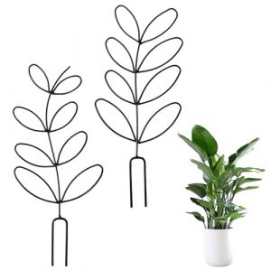 Lot de 2 tuteurs en métal pour plantes d'intérieur et jardin, aide à l'escalade pratique et support pour plantes grimpantes, plantes en pot et pots de fleurs, treillis de plantes et support de fleurs (limpise, neuf)