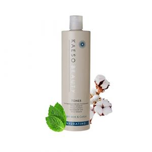 Kaeso Hydrating Toner 495 ml (Beauty Cloud, neuf)