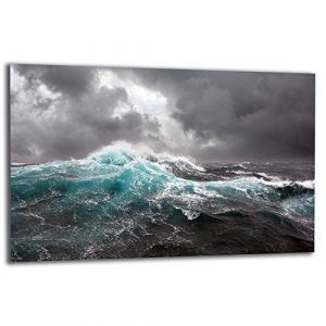 TMK Plaque de recouvrement, 80 x 52 cm, 1 pi&egrave;ce, pour plaques vitroc&eacute;ramiques, &agrave; induction, protection anti-&eacute;claboussures, planche &agrave; d&eacute;couper, motif de mer (TMK ArtDeko, neuf)