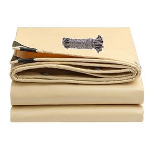 Bâche de Protection en Polyéthylène 1.8 x 5 m Imperméable et Lavable, Angles Renforcés, Rectangulaire Bâche Multi-Usage, Light Bâche de Protection pour Serre Jardin Pergola Piscine, Beige (LvLiangShiLiShiQuGaiFangDianZiShangWuYouXianGongSi, neuf)