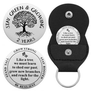 Ukodnus Jeton AA de 1 &agrave; 11 mois, pi&egrave;ce de sobri&eacute;t&eacute; de 1 &agrave; 30 ans, puce AA arbre de vie, jetons de r&eacute;cup&eacute;ration de m&eacute;daille AA, Alcooliques anonymes mensuels et annuels, small, Acier inoxydable, Sans (Rebyw123, neuf)