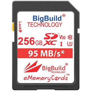 BigBuild Technology 256GB U3 Carte m&eacute;moire pour Appareil Photo Olympus Om D E M1 Mark II, Om D E M10 Mark II, Om D E M10 Mark III, Om D E M5 Mark II, Olympus Pen E PL8, Pen E PL9, Stylus Tough TG 5 (BigBuild Technology FR, neuf)