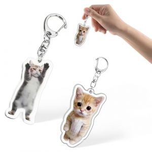 TEOZBLU Keychain Cat, porte-clés amusant, porte-clés ami, cadeaux mignons pour votre partenaire, Multicolore. (LIYUNxia, neuf)