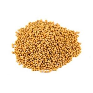 Graines de moutarde jaune - 200 g (Jalpur Millers Online, neuf)