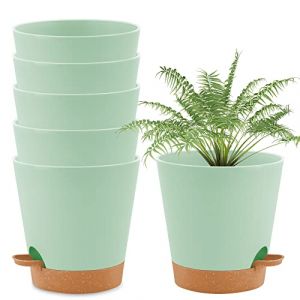 wintfarm Lot de 6 pots de fleurs ronds en plastique avec système d'arrosage à auto-irrigation avec soucoupe, pour intérieur et balcon, plantes grasses, cactus (16,5 cm, vert) (wintfarm Direct, neuf)