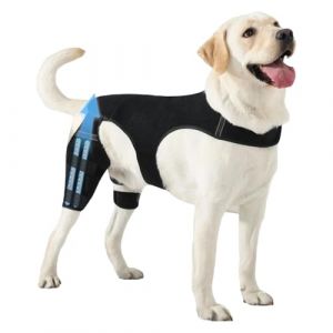 Genouill&egrave;res pour Chien Patte Arri&egrave;re | Manchon Articulaire Ajustable - Support Pour Patte Arri&egrave;re De Chien Avec 4 Stabilisateurs En M&eacute;tal,Pour Marche Randonn&eacute;e Activit&eacute;s Ext&eacute;rieures Parc Plage Voyage (Gusengo, neuf)