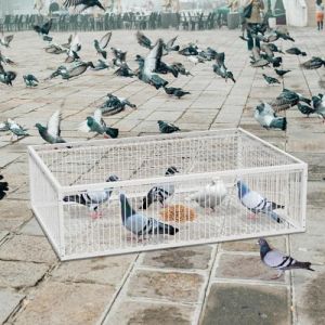 MUALROUS 90cm Piège à Pigeons de avec Conception à l’Épreuve de l’Évasion Pigeon Dove Piège à Oiseaux Cage Pliante Entrée à Sens Unique Piège de Jardin de Patio Extérieur pour Moineau Souris Lapin (Menglian shangmao, neuf)