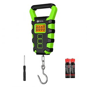 ORIA Balance de Bagage Numérique, Balance de Pêche Numérique avec Crochet, Balance de Bagage de 50Kg, Balance de Suspension Etanche IPX4, Ecran LCD Rétroéclairé, Batterie Incluse (SuionEU, neuf)