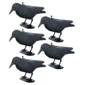 Brandsseller Corbeau Noir en Plastique 36 x 20 cm Répulsif Pigeons Effaroucheur Contre Les Petits Oiseaux et Les Pigeons Dissuasion respectueuse des Animaux - Lot de 5 (brandsseller, neuf)