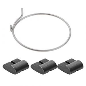 sharprepublic Accessoires de Composants de Cliquet de Vélo de Ressort de Cliquet de Roue Libre de Vélo de Qualité Supérieure (amagogouk, neuf)