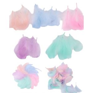 TOZBLEU Plumes color&eacute;es pour travaux manuels - 200pcs Plumes de Bricolage, Coiffe pour Enfants, Accessoires de Bricolage pour Boucles d'oreilles, Mariage,d&eacute;corations de f&ecirc;te,Plumes de Coiffe (lilidan, neuf)