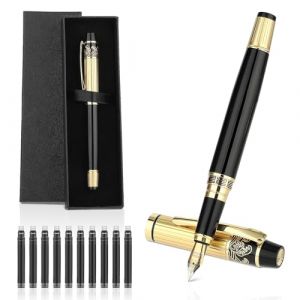 Andibro Stylos plume en métal, luxe à pointe fine de 0,5 mm stylo personnalisé avec 10 cartouches d'encre noire de 2,6 mm Boîte cadeau pour Homme et Femme Professionnel Directeur Bureau (Flypian, neuf)