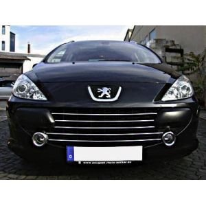 Luxyline Baguette de calandre chromée Compatible Peugeot 307 05-09 Peugeot 307 CC 05-09 Peugeot 307 SW 05-09 (Luxyline, neuf)