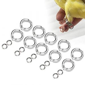 Cikonielf 10 pièces Anneaux de Pied d'oiseau Anneau de Jambe de Perroquet en métal Anneau de Jambe de Perroquet en Plein air(#15) (Smandye, neuf)
