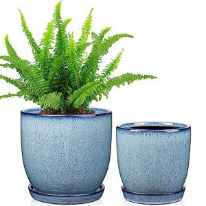 Oairse Lot de 2 pots de plantes en c&eacute;ramique de 12 cm et 15 cm pour int&eacute;rieur avec trous de drainage et soucoupe de pot, pots de fleurs d&eacute;coratifs, pot de jardin bleu pour plantes succulentes, cactus (Oairse-eu, neuf)