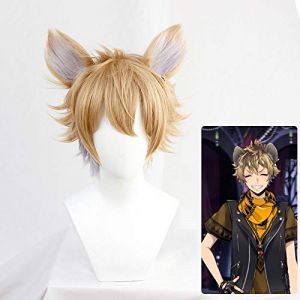 Jeu Twisted-Wonderland le roi Lion Ruggie Cosplay perruque adulte hommes femmes lin postiche court avec oreilles perruque perruque avec oreilles (good stuff A, neuf)