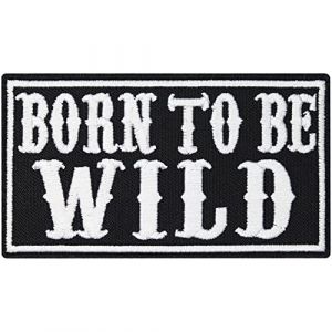 &Eacute;cusson thermocollant Born to be wild Hogs Biker Motorcycle Rockabilly Heavy Metal (Aufn&auml;hershop, neuf)