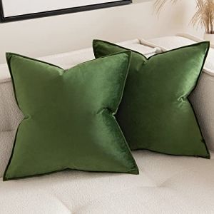 MIULEE Housse de Coussin en Velours Canap&eacute; Bordure Taie d'oreiller Super Doux Decoration Maison Salon Chambre pour Canap&eacute; Clic Clac 40 x 40 cm 2 pi&egrave;ces Matcha Green (MIULEE HOME, neuf)