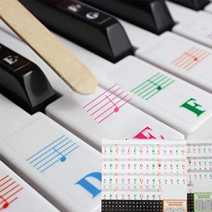 Piano et clavier Notes de musique Ensemble de stickers pour les touches de couleur et Noir, Transparent et amovible, idéal pour enfants et débutants Stickers pour 37/49/54/61/88 touches (Couleur,noir) (LICHUANUK, neuf)