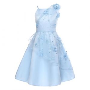 ranrann Robe de Cérémonie Fille Enfant Mousseline Robe Mariage Demoiselle d'honneur Princesse Soirée Elégante Fête Anniversaire B Bleu Clair 14 Ans (ranraneu, neuf)