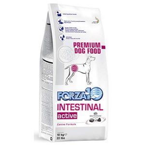 Forza 10 Active Line intestinal Dry Dog kg. 10-Diète sèche pour Chiens, Multicolore, Unique (Amore Animale Shop, neuf)