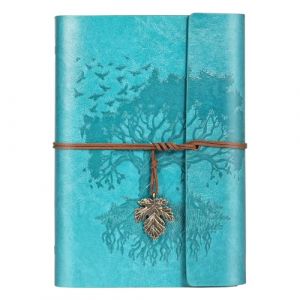 ANOMM Carnet de Note Cuir A5, Journal à Spirale Rechargeable, Vintage Carnet de Voyage avec Pages Blanches, Carnet à Spirales, Cadeau pour Femmes, Hommes, Filles et Garçons, 160 Pages (Bleu) (Dazzlingyyh, neuf)