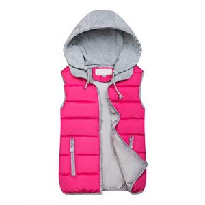 WZYYDS Doudoune Sans Manches Femme Capuche Zipp&eacute; Veste Duveteuse Gilet Sans Manche Femme Courtes Veste Matelass&eacute;e L&eacute;g&egrave;re Manteau Femme Hiver Chic Chaude Blouson (WZYYDS, neuf)