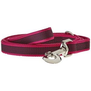 JULIUS K-9 216GM-PN-S2 Laisse antid&eacute;rapante Color & Gray avec poign&eacute;e, 20 mm x 2 m, Rose-Gris (TradeINN, neuf)