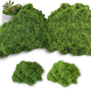 200g Mousse Artificielle, yisight Mousse Artificielle pour D&eacute;corer, Mousse D&eacute;corative pour D&eacute;corations Florales, D&eacute;corations DIY et Travaux Manuels(Vert Clair+Vert Fonc&eacute;) (LIUXI98, neuf)