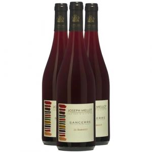 Sancerre Le Rabault - Rouge 2023 - Joseph Mellot - Vin Rouge du Val de Loire (3x75cl) (e-boissons, neuf)