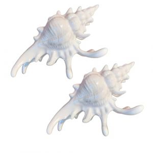 Lot de 2 pinces &agrave; cheveux &eacute;l&eacute;gantes en acrylique avec design de coquillage marin - Tenue forte - Pour femmes quotidiennes et occasions sp&eacute;ciales (LINLINOK, neuf)