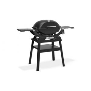 Weber Barbecue gaz Q 2200 Black, sur Pied, Puissance 4110 w (Passion Barbecue, neuf)