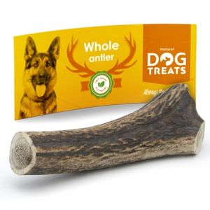 100% Naturel Bois de Cerf pour Chien - Corne Jouet Os a Mâcher - Jouet Chien - Corne de Cerf pour Chien - Taille Large (Yaba Store FR, neuf)