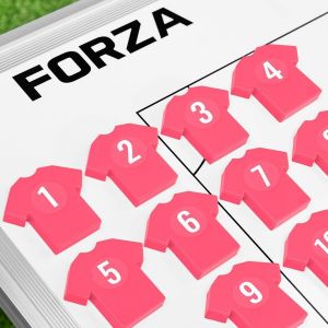 FORZA Aimants d’Entraînement en Maillot | 11 Marqueurs Magnétiques Colorés avec Autocollants Numérotés | Compatible avec Tableaux de Tactiques Idéal pour Entraîneurs de Football (Rose) (Net World France, neuf)