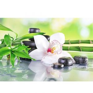 DCIDBEI Square Diamond Painting Orchid&eacute;es 50x40cm Broderie Diamant Orchidee Peinture Diamant Carr&eacute; Fleurs Orchid&eacute;es Peinture Diamant Orchid&eacute;e Zen Peinture par Numero Adulte Paysage Adultes (BEIMIN, neuf)