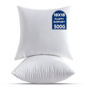QSWRD Coussin Rembourrage 45 x 45 cm Lot de 2 Moyens Coussins D&eacute;coratifs Blancs pour Le Salon Canap&eacute; Lit Canap&eacute; Carr&eacute;s Housse de Coussin Garnissage Coussin (SWR US, neuf)