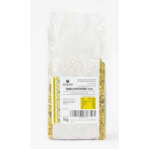 1 kg de granulés de pistache Crude Décortiquées Non salées, taille 2-4 mm, Grain de pistache en paquet de 1 kg (DiGel S.r.l., neuf)
